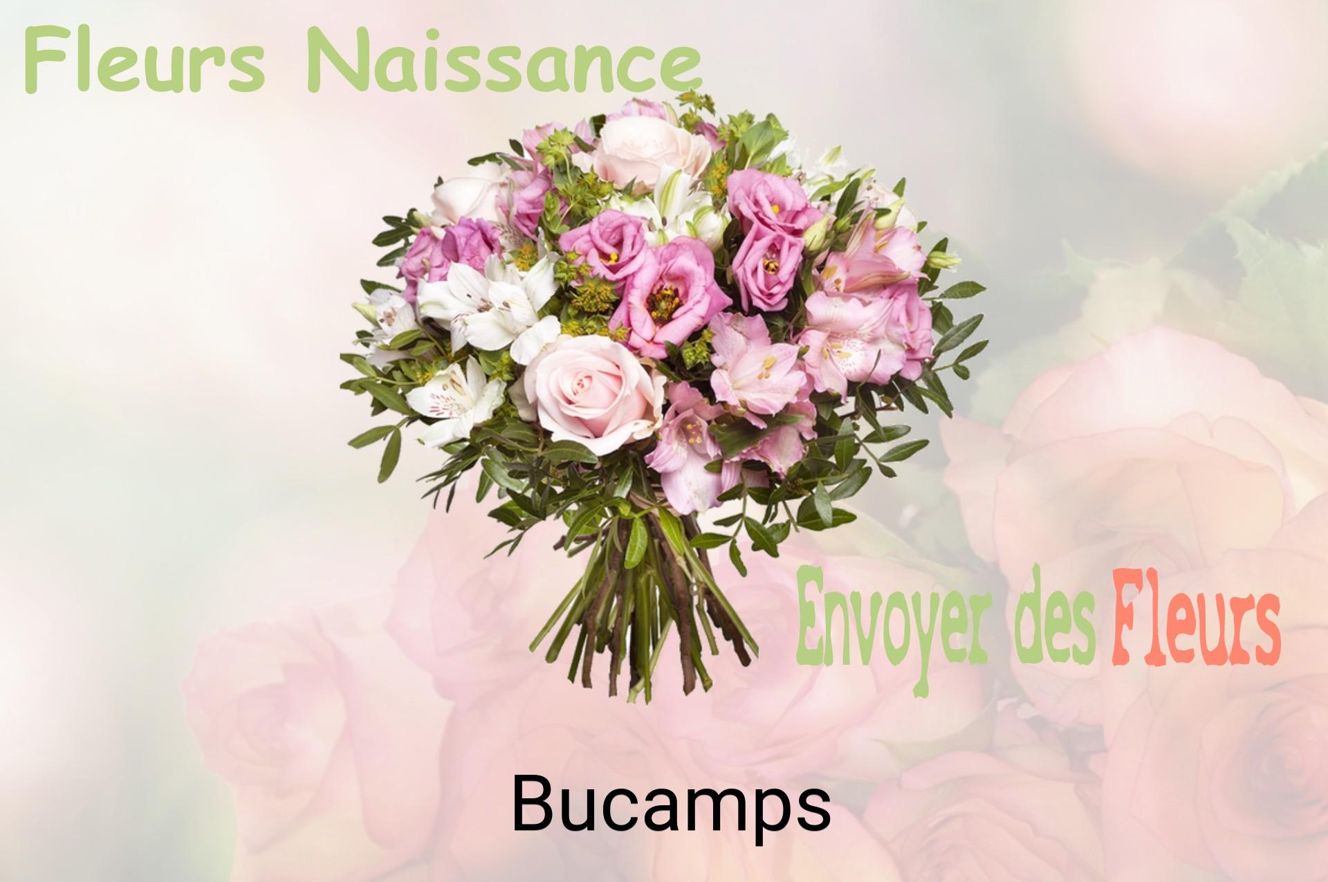 Bouquet de fleurs de naissance livré à Bucamps