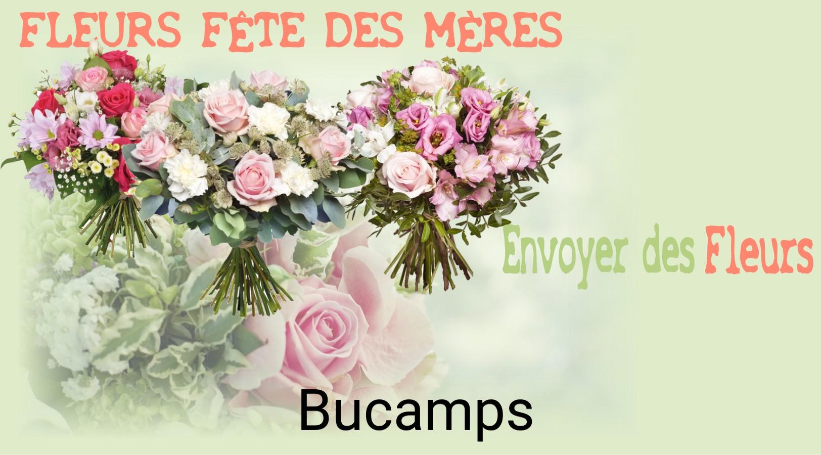 Bouquet de Fête des Mères livré à Bucamps